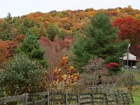 FallColors
