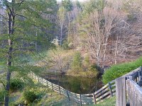Pond