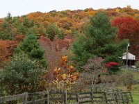 FallColors