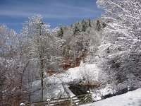 PondInSnow